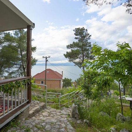 Villa Among The Trees Široka Exterior foto