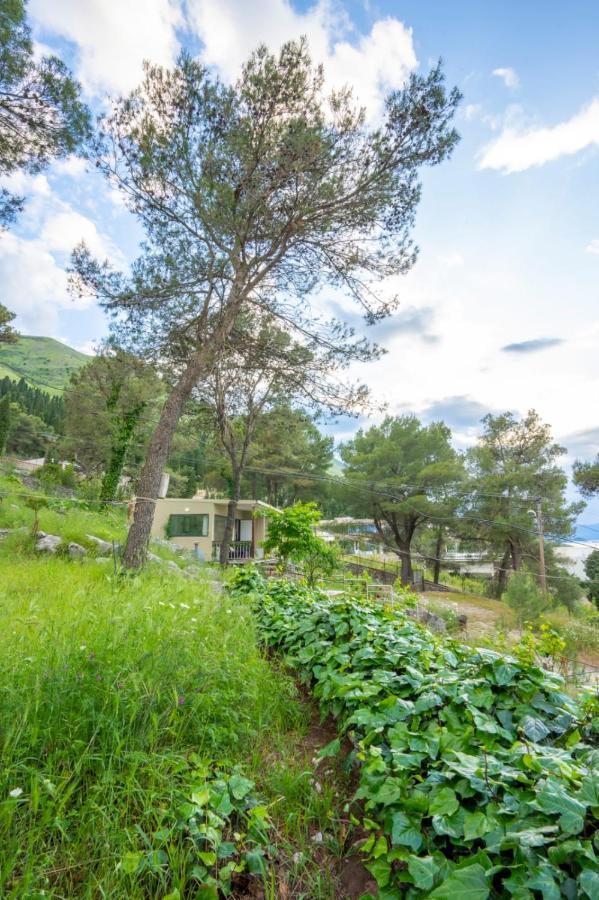 Villa Among The Trees Široka Exterior foto